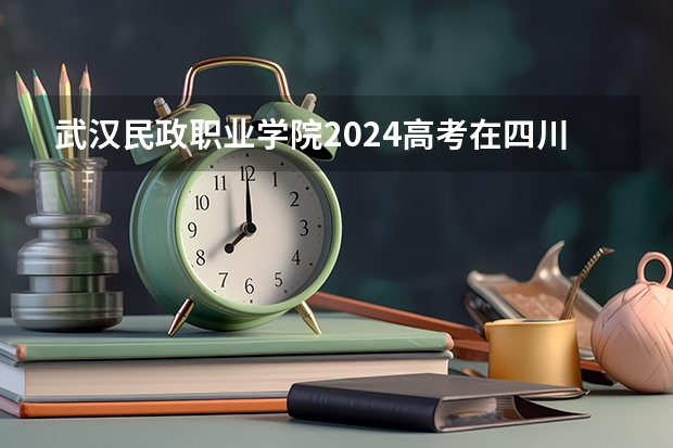 武汉民政职业学院2024高考在四川招生计划