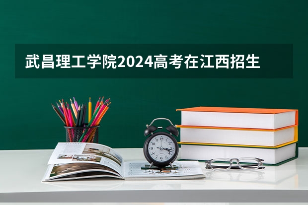 武昌理工学院2024高考在江西招生计划