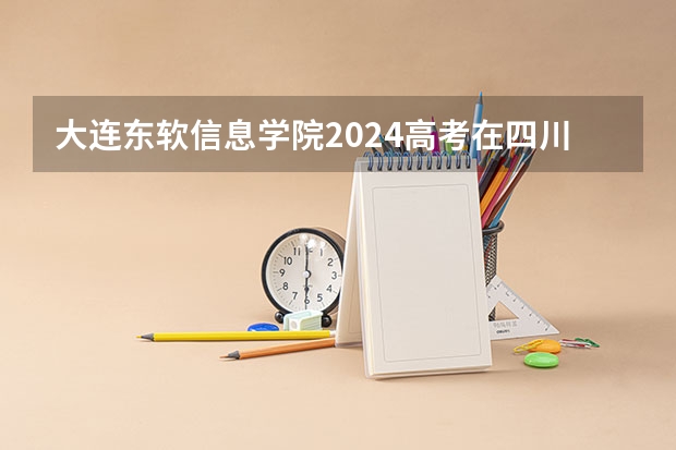 大连东软信息学院2024高考在四川招生计划