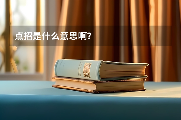 点招是什么意思啊？