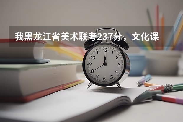 我黑龙江省美术联考237分，文化课400，能走什么学校呀？谢谢！！