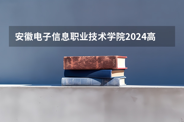 安徽电子信息职业技术学院2024高考在贵州招生计划