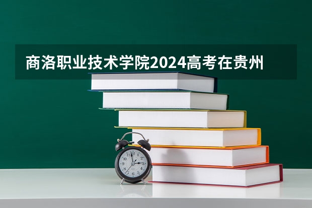商洛职业技术学院2024高考在贵州招生计划
