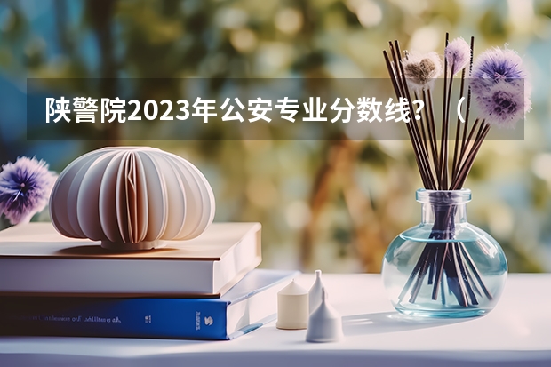陕警院2023年公安专业分数线？（渭南师范学院艺术类录取分数线？）