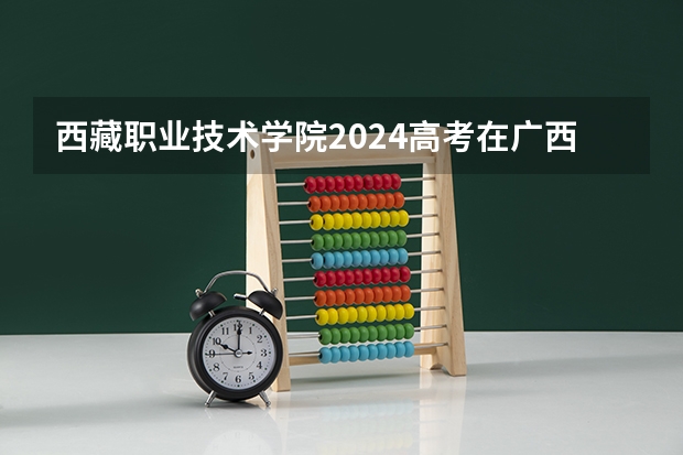 西藏职业技术学院2024高考在广西招生计划