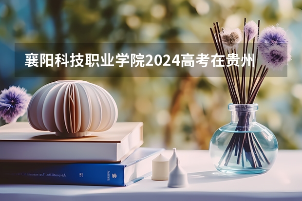 襄阳科技职业学院2024高考在贵州招生计划