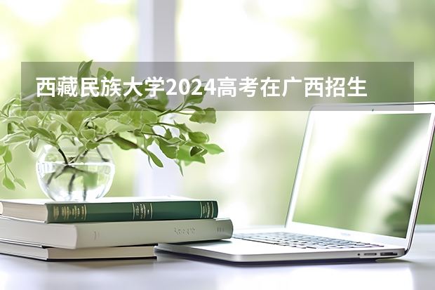 西藏民族大学2024高考在广西招生计划