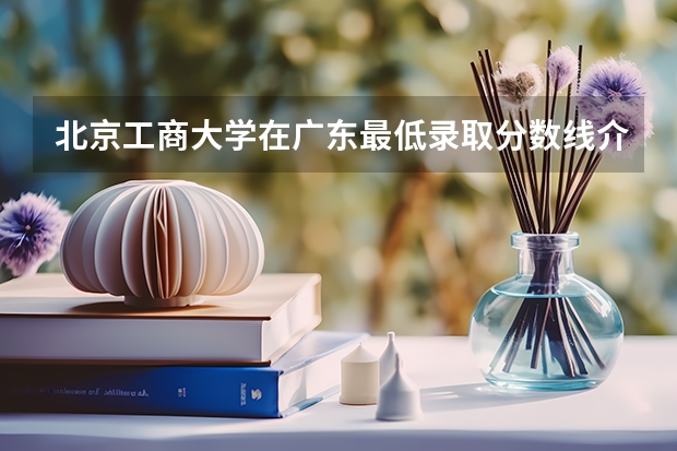 北京工商大学在广东最低录取分数线介绍