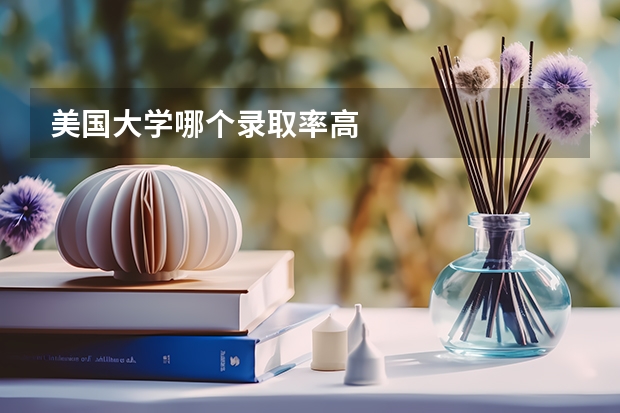 美国大学哪个录取率高