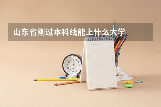 山东省刚过本科线能上什么大学