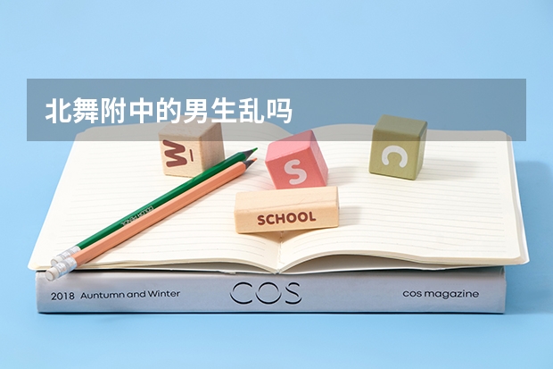 北舞附中的男生乱吗