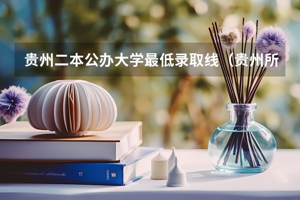 贵州二本公办大学最低录取线（贵州所有二本大学名单）