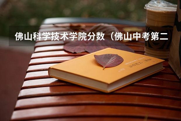 佛山科学技术学院分数（佛山中考第二批录取分数线）