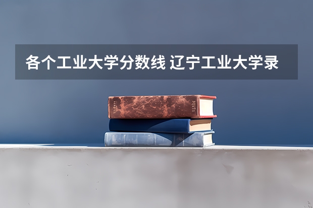 各个工业大学分数线 辽宁工业大学录取分数线