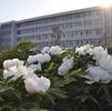 泰山科技学院LOGO